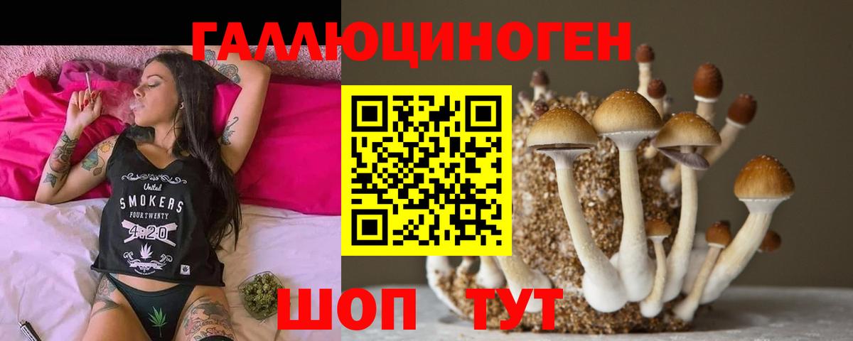 Псилоцибиновые грибы Psilocybine cubensis  Киров  Псилоцибиновые грибы Psilocybine cubensis 